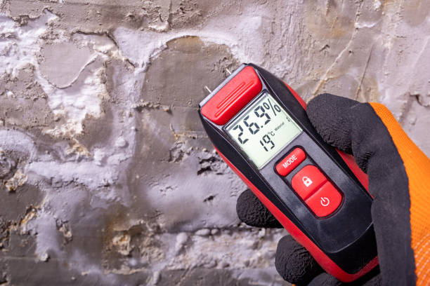 Best Mold Testing  in Vley Grande, AL