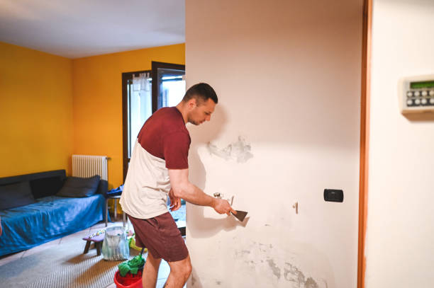 Best Mold Cleaning Services  in Vley Grande, AL